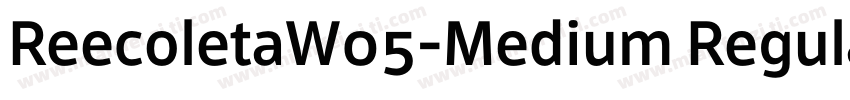 ReecoletaW05-Medium Regular字体转换